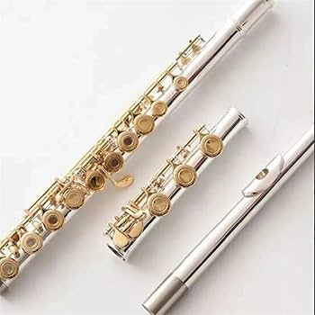 Amazon | 17 穴オープンホール C トーン フルート楽器 金管
